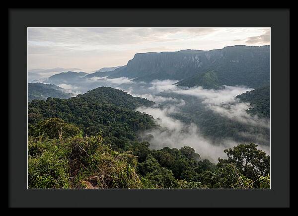 Bwindi Impenetrable Forest Viewpoint