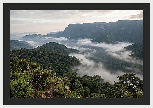 Bwindi Impenetrable Forest Viewpoint