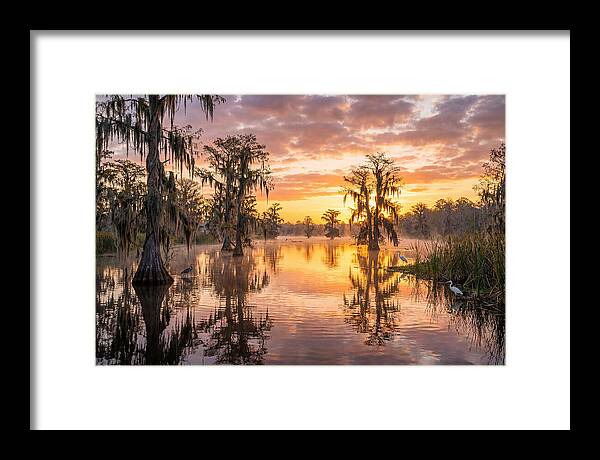 Cache River Wetland Serenity