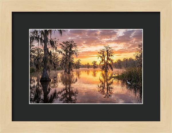 Cache River Wetland Serenity