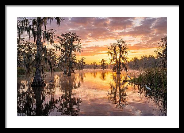 Cache River Wetland Serenity