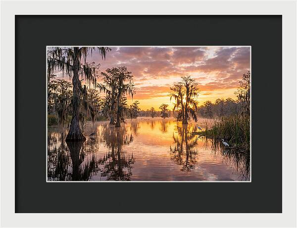 Cache River Wetland Serenity