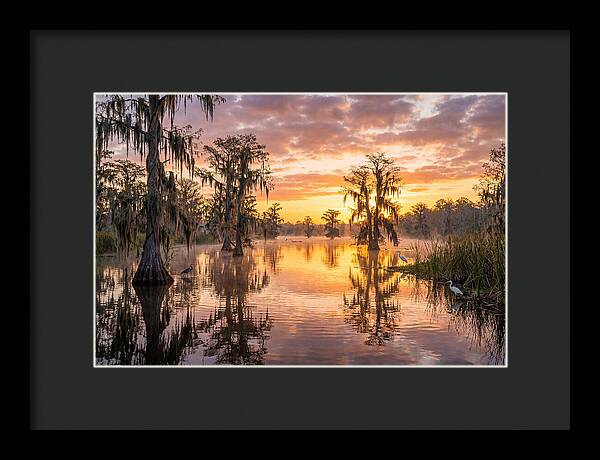 Cache River Wetland Serenity