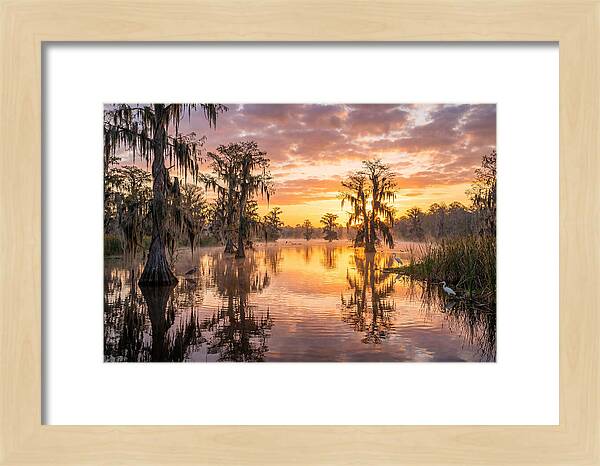 Cache River Wetland Serenity