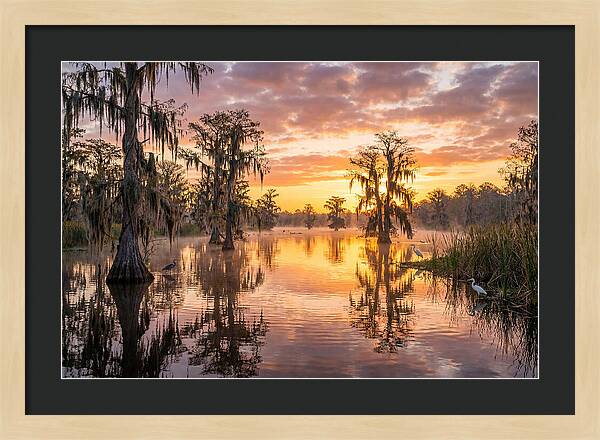 Cache River Wetland Serenity