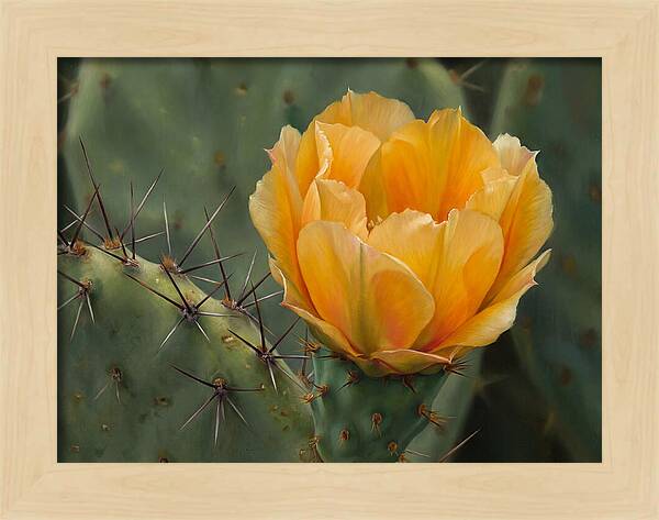Cactus Flower Blooming Brightly