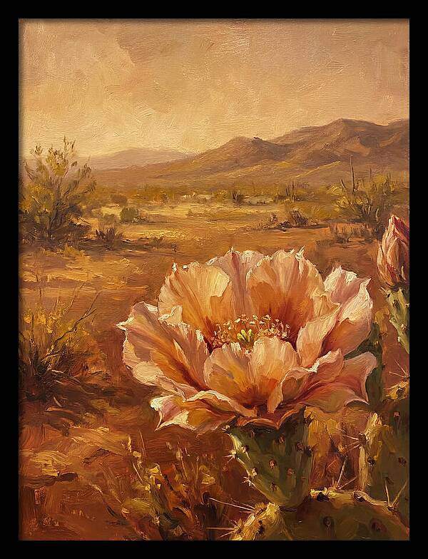 Cactus Flower In The Mediterranean Sun