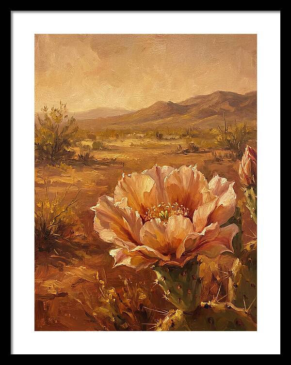 Cactus Flower In The Mediterranean Sun