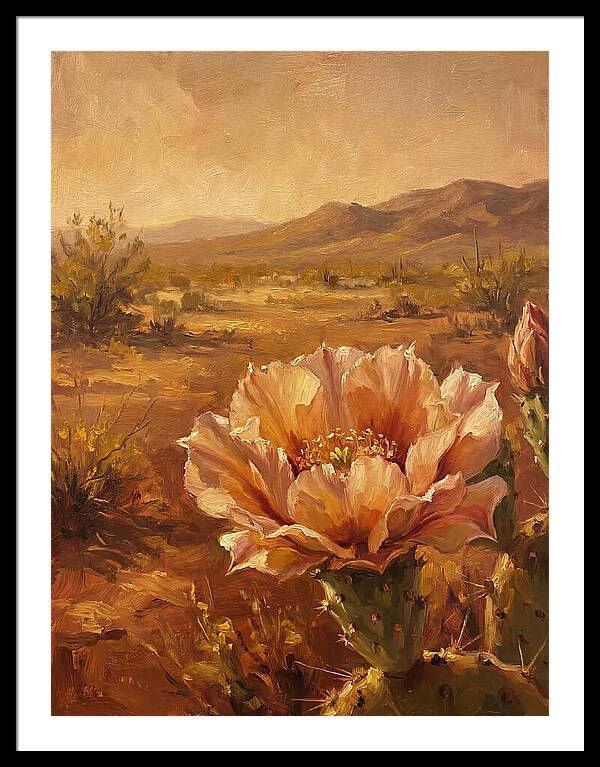 Cactus Flower In The Mediterranean Sun
