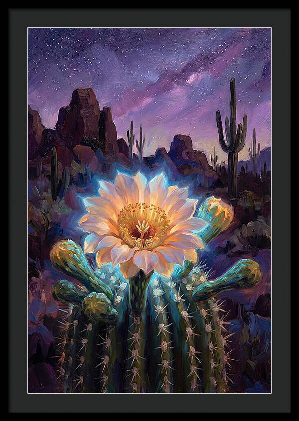 Cactus Flower Under Stars