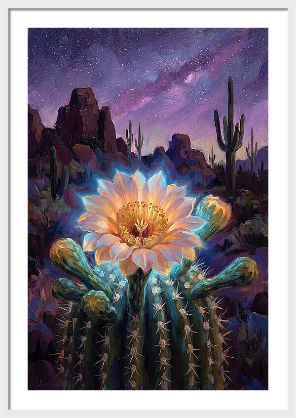 Cactus Flower Under Stars