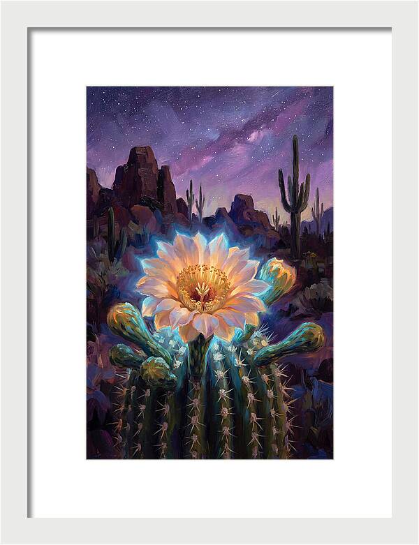 Cactus Flower Under Stars