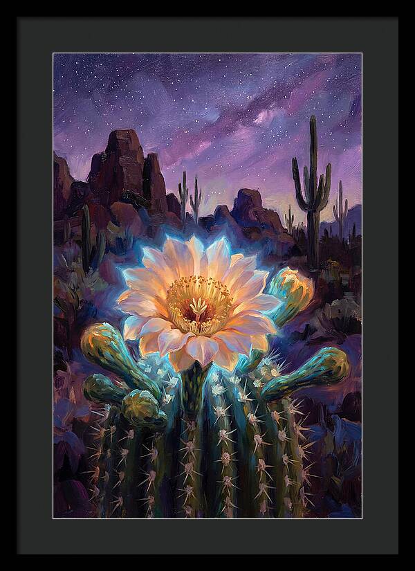 Cactus Flower Under Stars