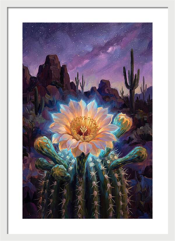 Cactus Flower Under Stars