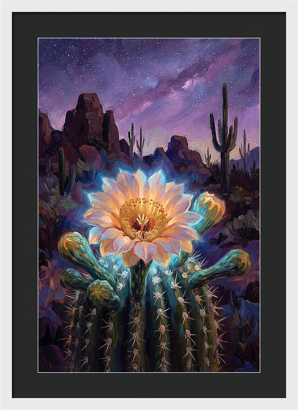 Cactus Flower Under Stars