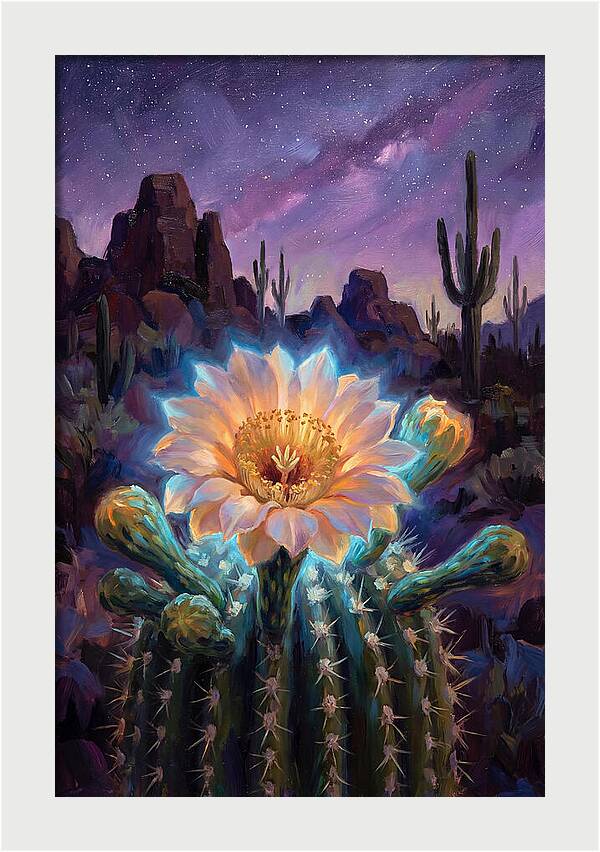 Cactus Flower Under Stars