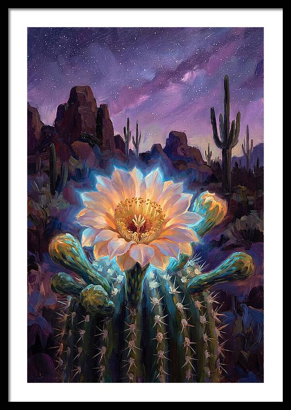 Cactus Flower Under Stars