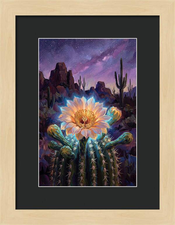 Cactus Flower Under Stars