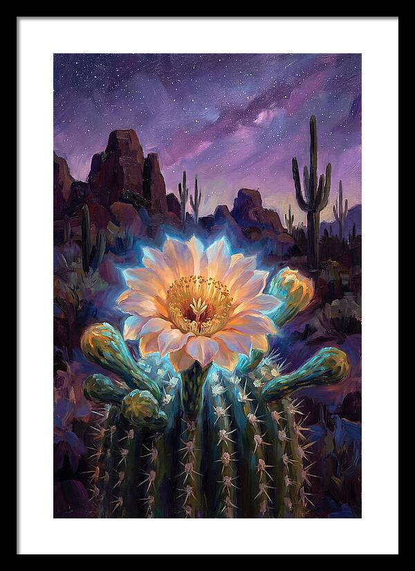 Cactus Flower Under Stars