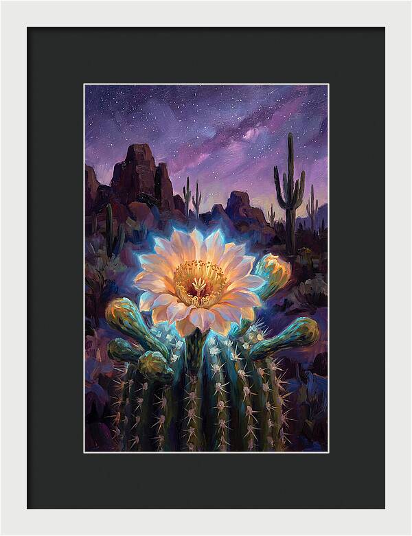 Cactus Flower Under Stars