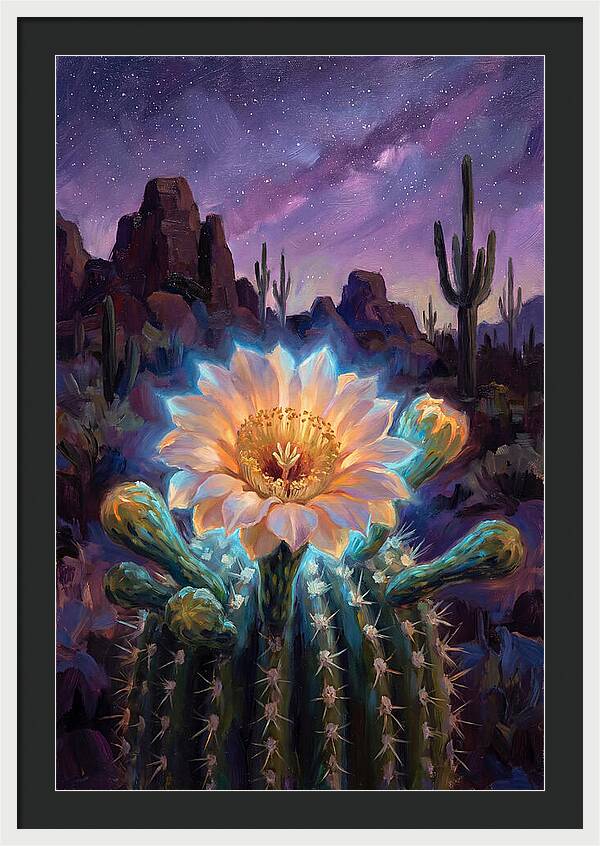 Cactus Flower Under Stars