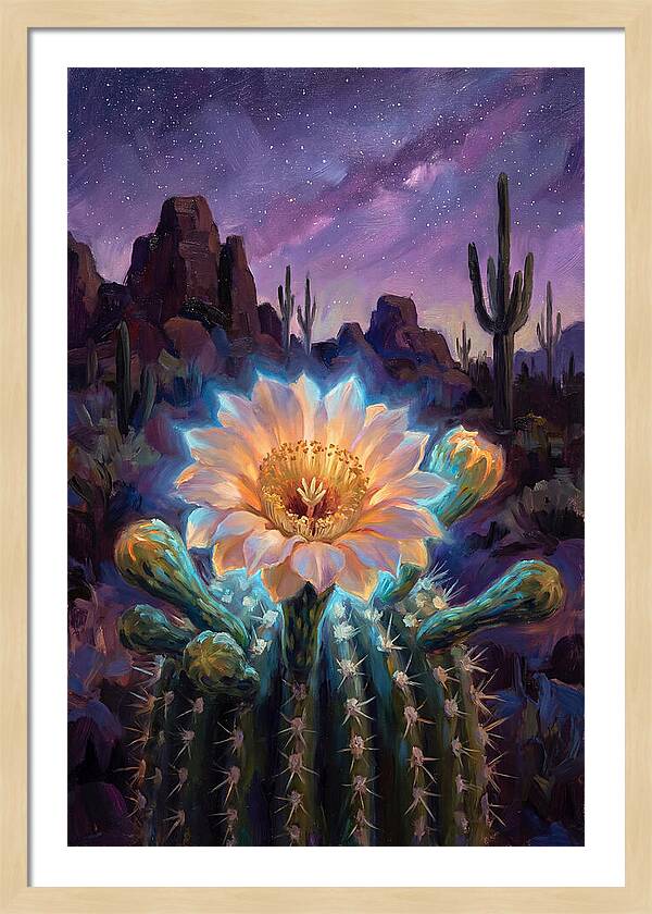 Cactus Flower Under Stars