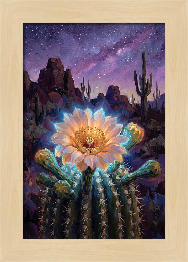 Cactus Flower Under Stars
