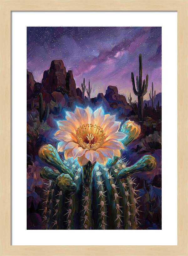 Cactus Flower Under Stars