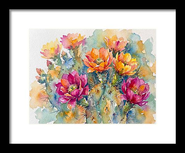Cactus Flowers In Bloom