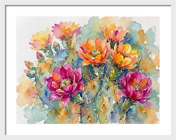 Cactus Flowers In Bloom
