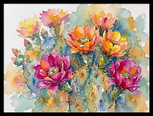 Cactus Flowers In Bloom