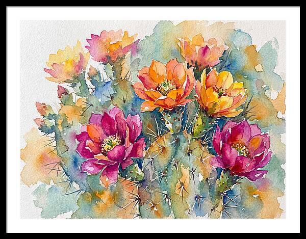 Cactus Flowers In Bloom