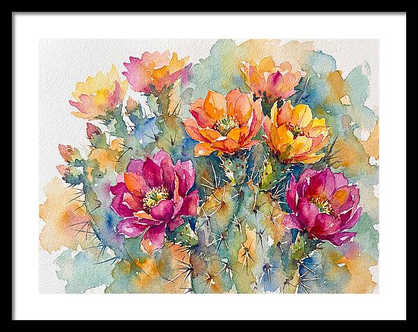 Cactus Flowers In Bloom