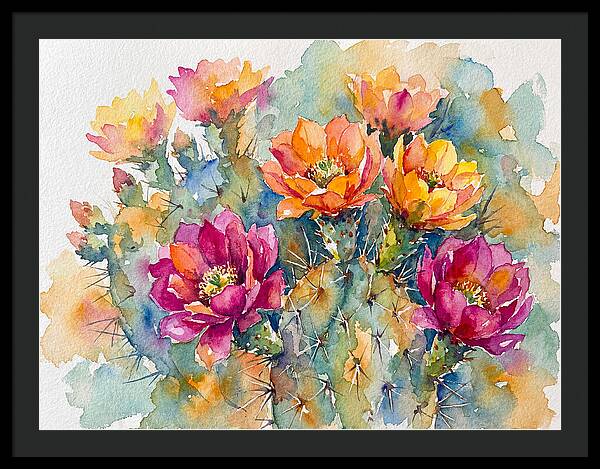 Cactus Flowers In Bloom