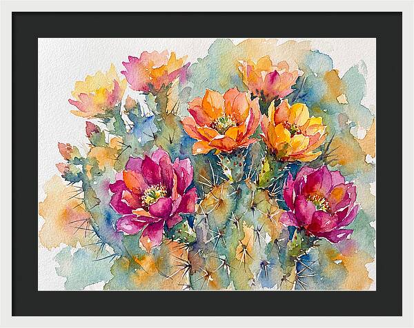Cactus Flowers In Bloom