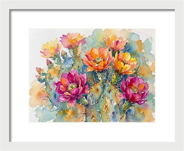 Cactus Flowers In Bloom