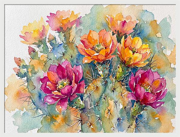 Cactus Flowers In Bloom