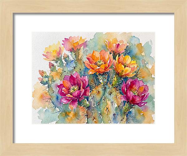 Cactus Flowers In Bloom