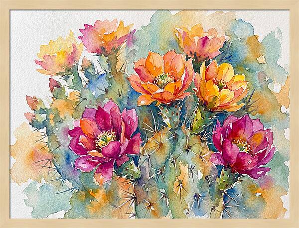 Cactus Flowers In Bloom
