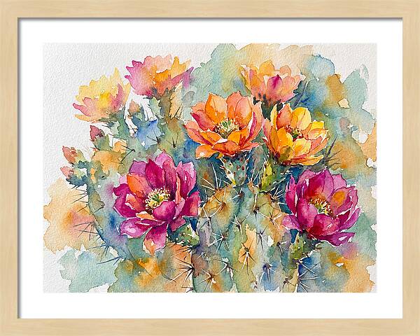 Cactus Flowers In Bloom