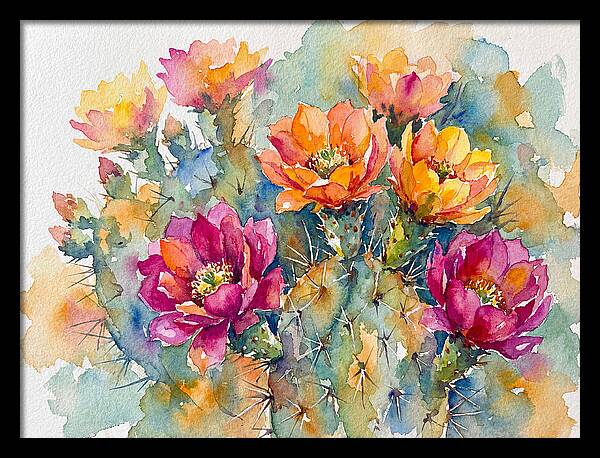 Cactus Flowers In Bloom