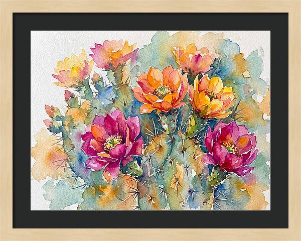 Cactus Flowers In Bloom
