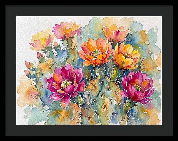 Cactus Flowers In Bloom