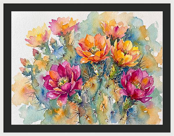 Cactus Flowers In Bloom