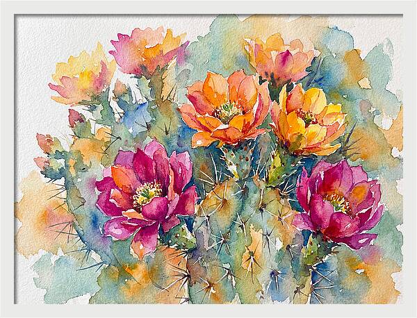 Cactus Flowers In Bloom