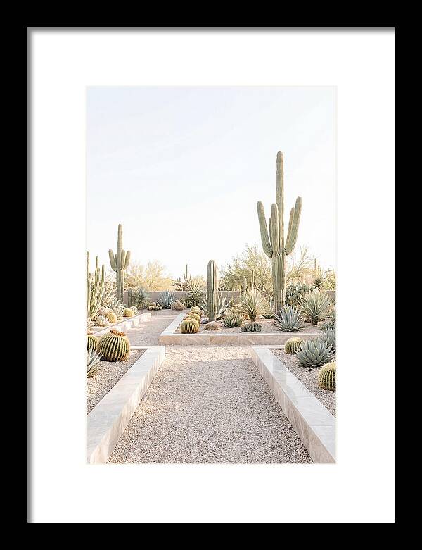 Cactus Garden Serenity