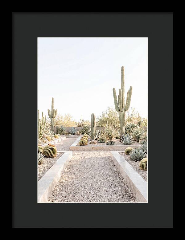 Cactus Garden Serenity
