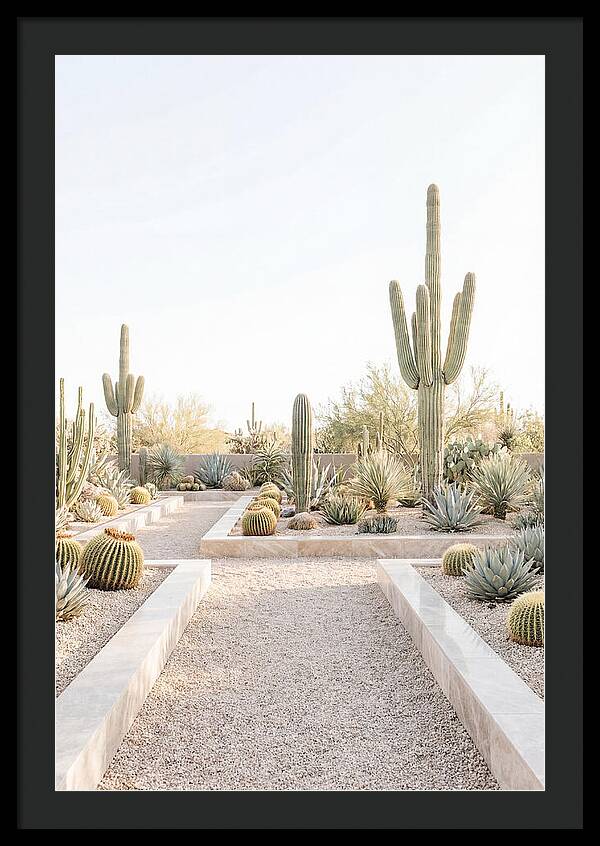 Cactus Garden Serenity