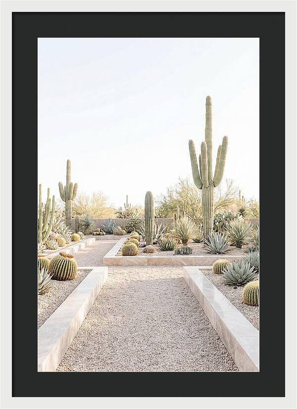 Cactus Garden Serenity