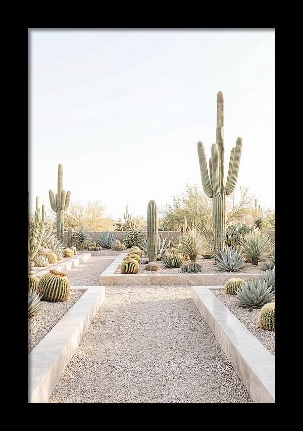 Cactus Garden Serenity